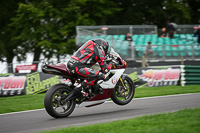 cadwell-no-limits-trackday;cadwell-park;cadwell-park-photographs;cadwell-trackday-photographs;enduro-digital-images;event-digital-images;eventdigitalimages;no-limits-trackdays;peter-wileman-photography;racing-digital-images;trackday-digital-images;trackday-photos